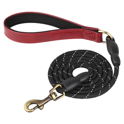 Personalized PU Leather Dog Collar Set